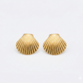Seashell earrings
